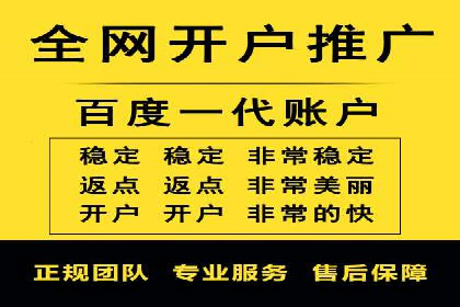 SEM推广案例：打造高效广告投放策略